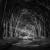 Les chemins